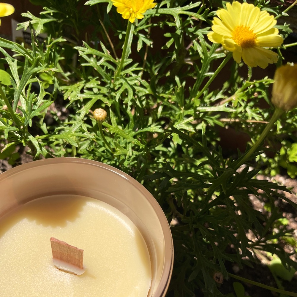 SMELLS LIKE- WILDFLOWERS Natural Beeswax California Super Bloom
